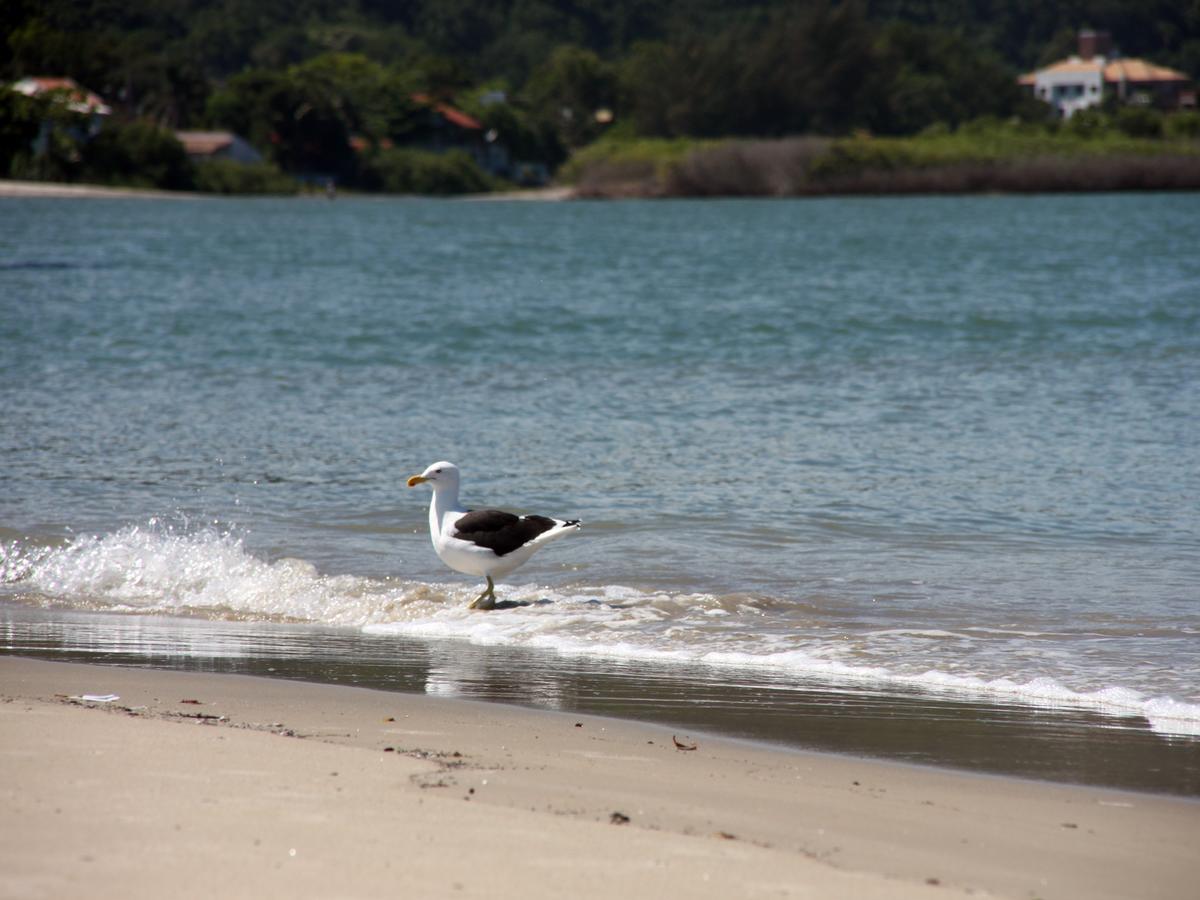 Posada Suenos De Verano Hotell Florianópolis Exteriör bild